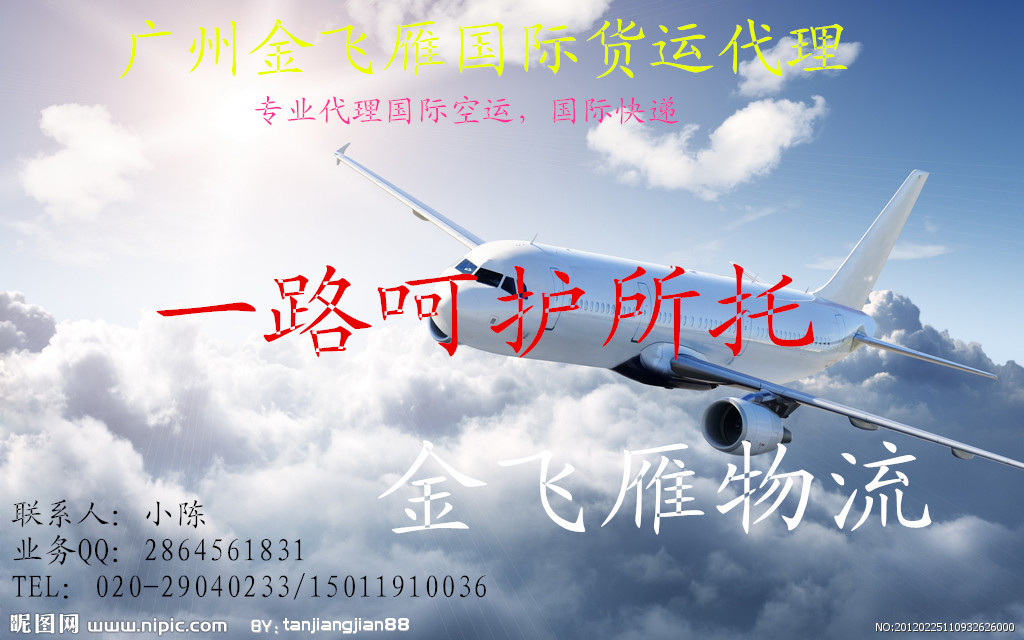 快递,广州金飞雁专业代理国际空运,国际货代服