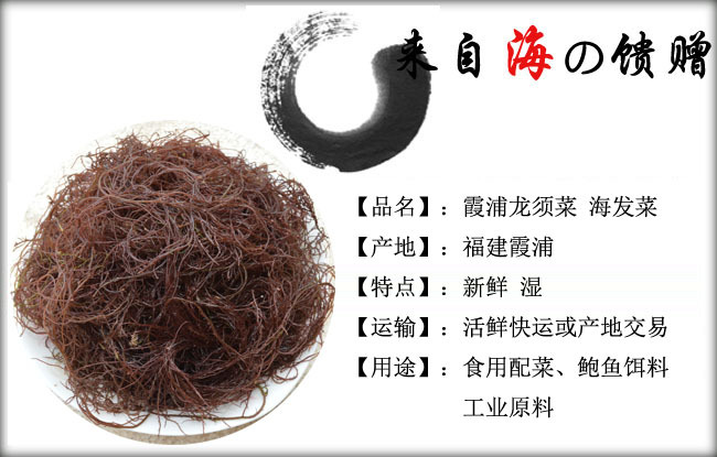 产地直销龙须菜,广东菜、海发菜、<em>头发菜</em>,发藻