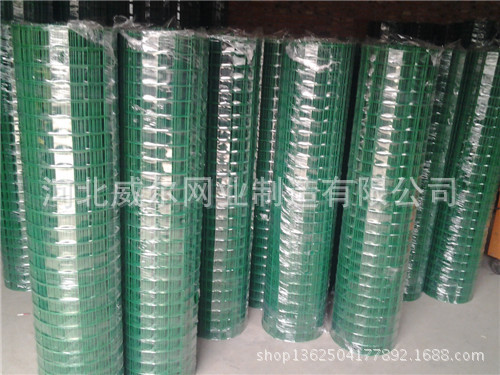 浸塑荷兰网 (35)