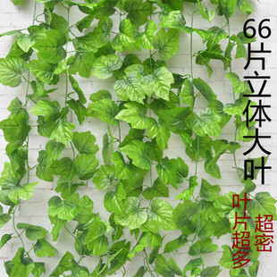 吊顶66片大葡萄叶假花绿植装饰藤条婚庆装饰花藤塑料葡萄藤