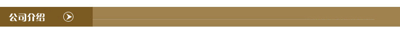 公司介绍
