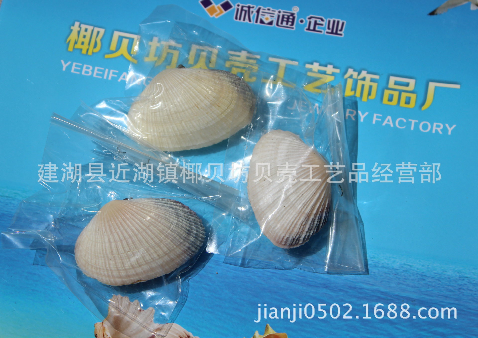 IMG_0795_2345看图王