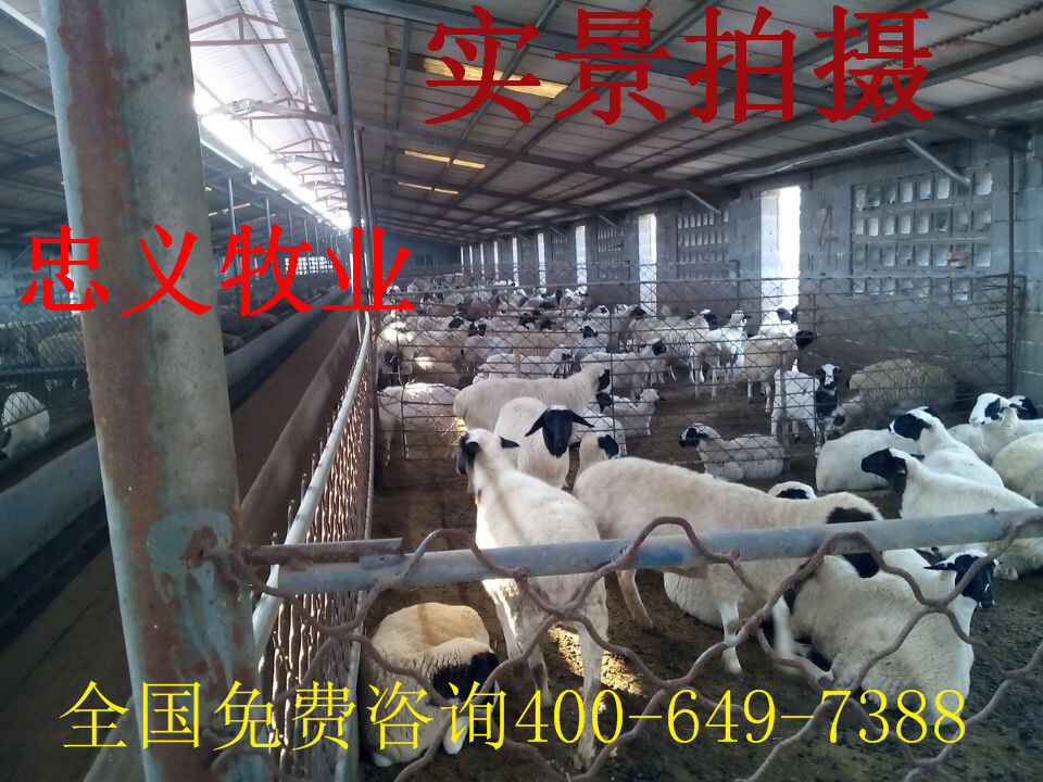 QQ图片20141109170040