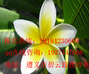 遵义卓玛电脑平面设计_软件开发培训学校