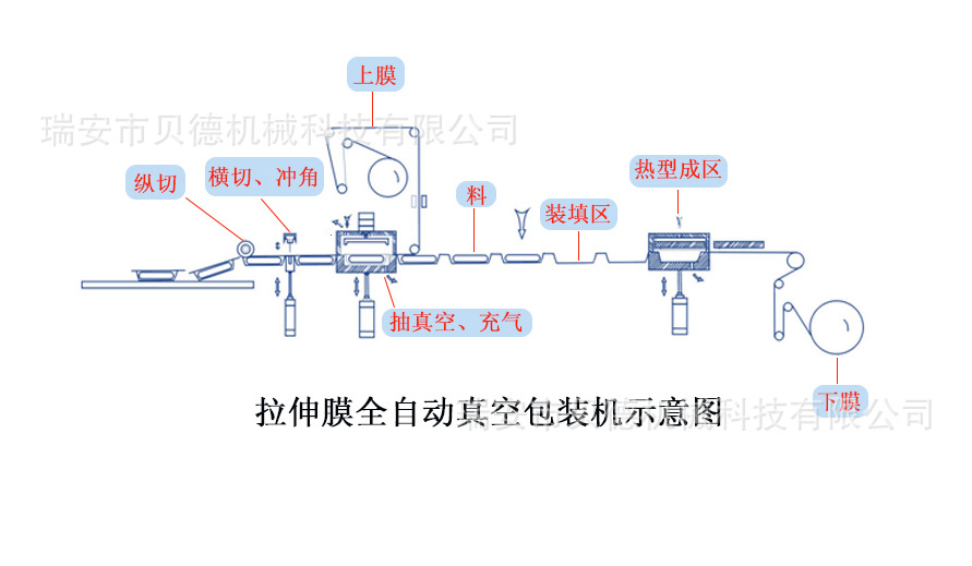 多功能全自动真空包装机 连续真空包装机 免袋装真空包装机