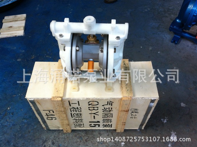QBY-15工程塑料气动隔膜泵(3)