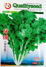 蔬菜种子 绿绒春不老菜种子 抗寒抗病强 可露地越冬菜嫩鲜美5g/包