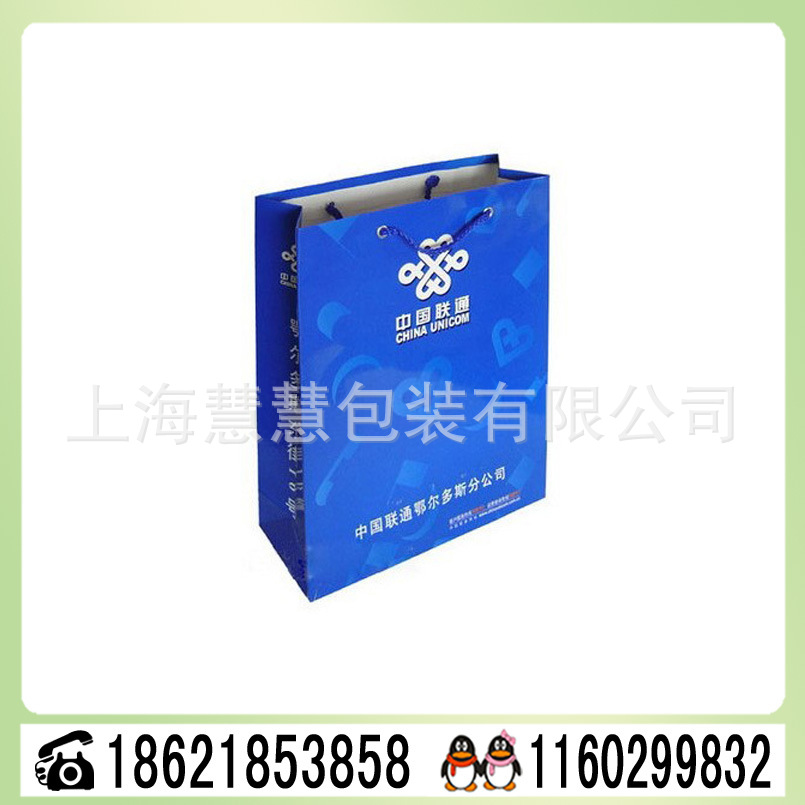 1S上海厂家供应品牌企业宣传广告策划纸袋 展