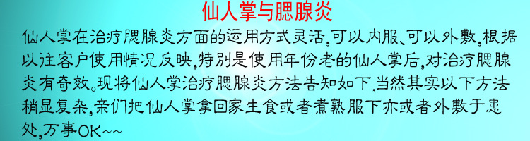 药用米邦塔可食用仙人掌10年老片清热解毒小儿腮腺炎抗癌抗癌