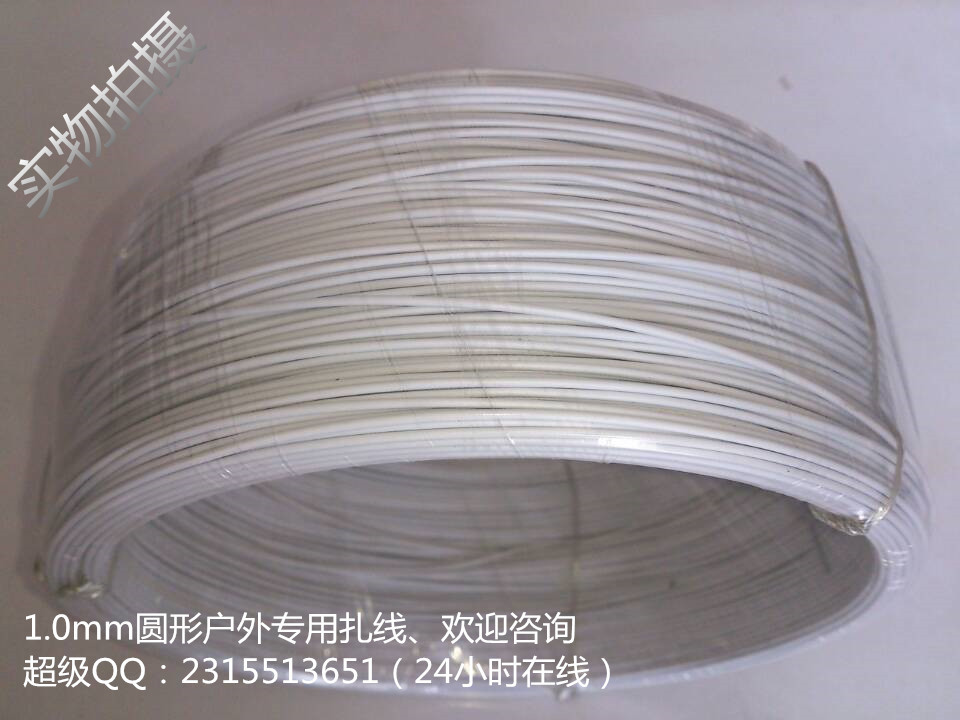 51F82995FDD5CB71474418D20A4560