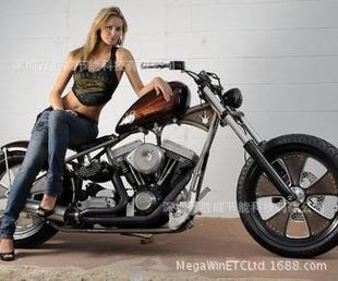 LED系列产品-哈雷摩托车灯专用光源飞利浦品