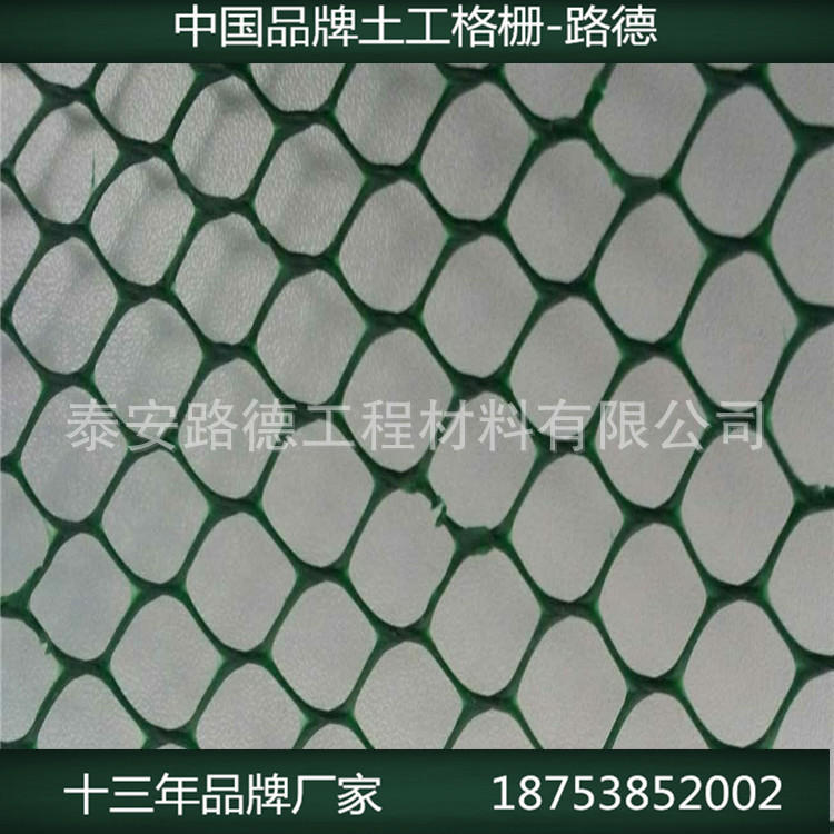 山东土工合成材料生产厂家供应2*100米200g土工网可用在电脑包