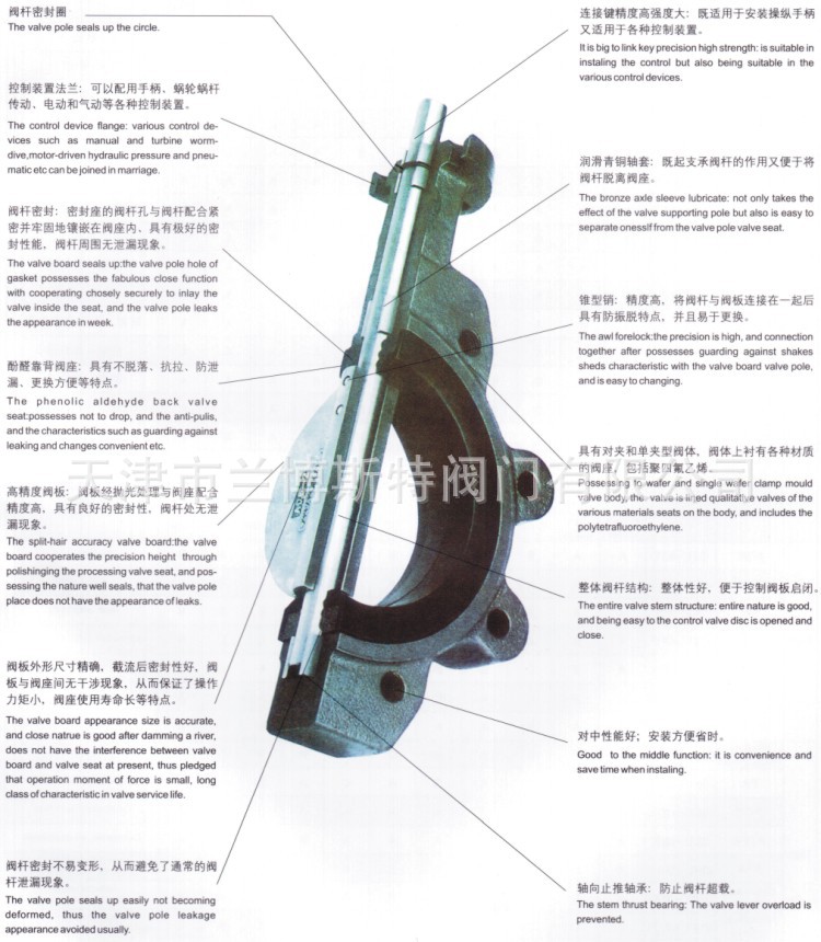 蝶閥結構圖