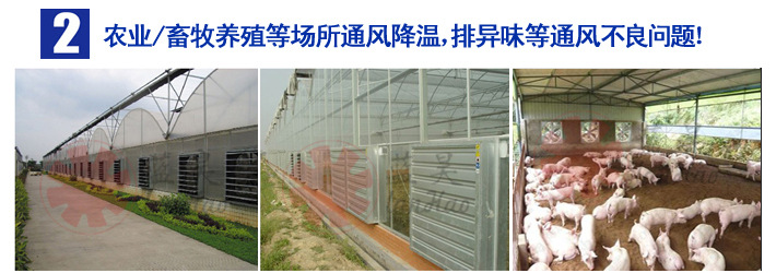 镀锌板风机运用-013