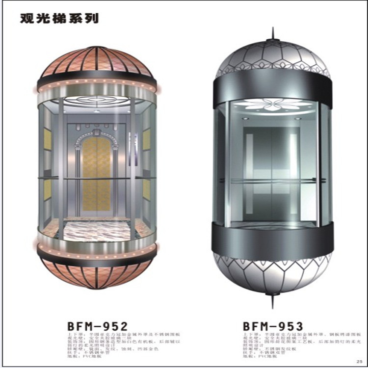 电梯生产厂家供应别墅观光电梯 豪华观光梯图片_4