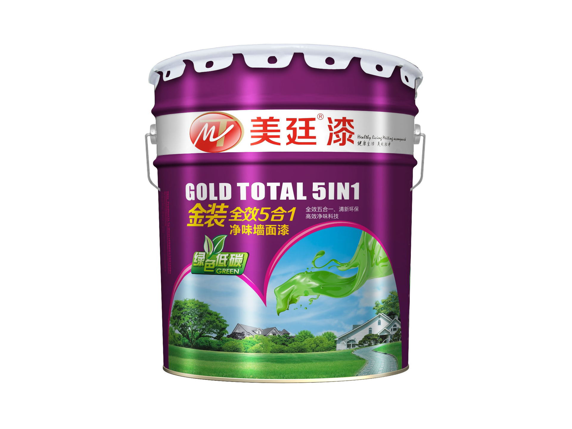 金装全效5合1包装