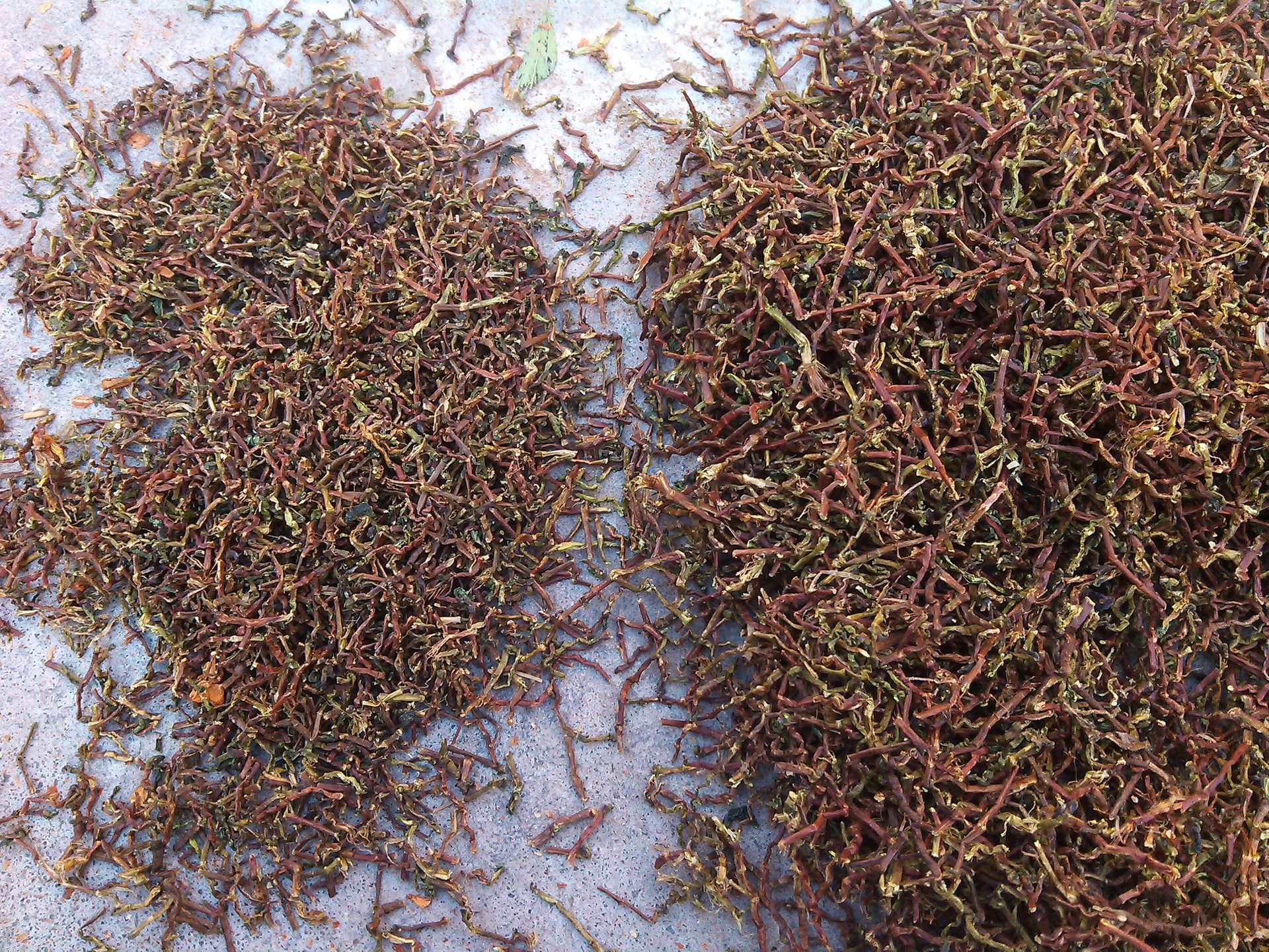 百花草益寿茶 益寿草 山密草 百花草