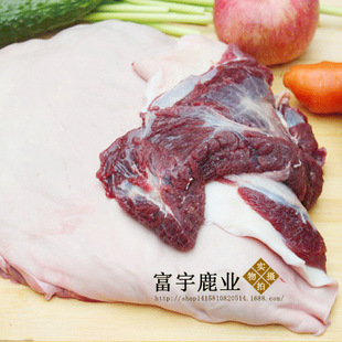 新鲜鹿肉 鹿皮腩 带皮鹿肉 带皮排骨 生鲜鹿肉 鹿场直销批发