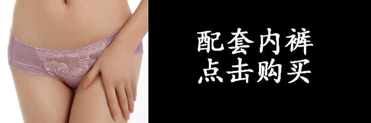 <em>文胸</em>-2014春夏新款<em>豹纹刺绣</em>性感<em>文胸</em> 小胸加厚