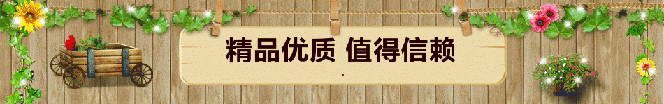 2012123118281375