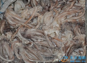 【天津冷冻鱼】天津冷冻鱼价格\/图片_天津冷冻