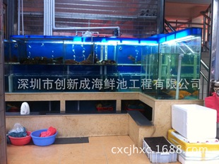 酒店设备-海鲜池在西乡市场;创新成制作海鲜池