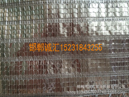 【小】铝箔遮阳网