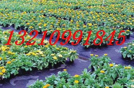 8ba3171bdc9db37ee808b6b1df468f