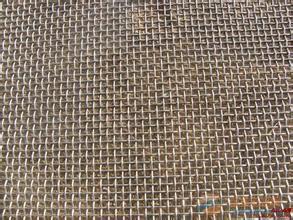 铁丝网-【厂家直销】 音网|镀锌铁丝网|镀锌网-