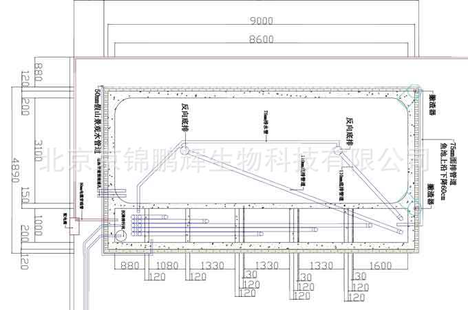 锦鲤鱼池设计建造方案 锦鲤鱼池设计施工图纸