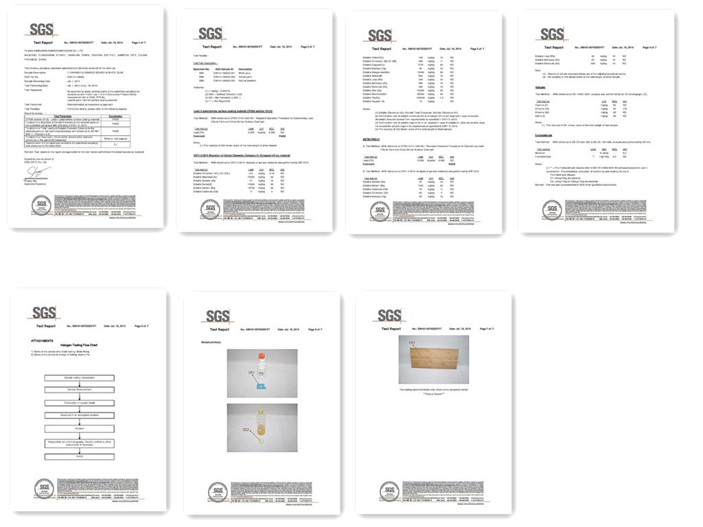 2014 SGS TEST REPORT