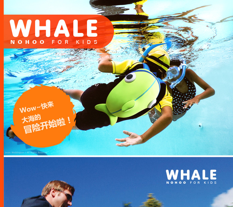 鲸鱼推广文件_01