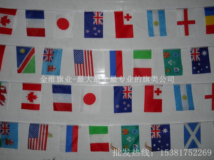 世界各国国旗串旗吊旗万国旗 定做任何国家旗帜吊旗50面21x14cm
