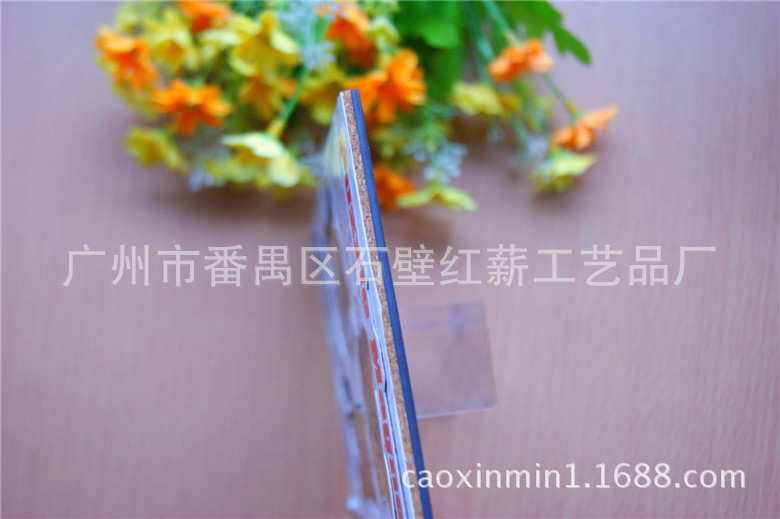 DSC03913