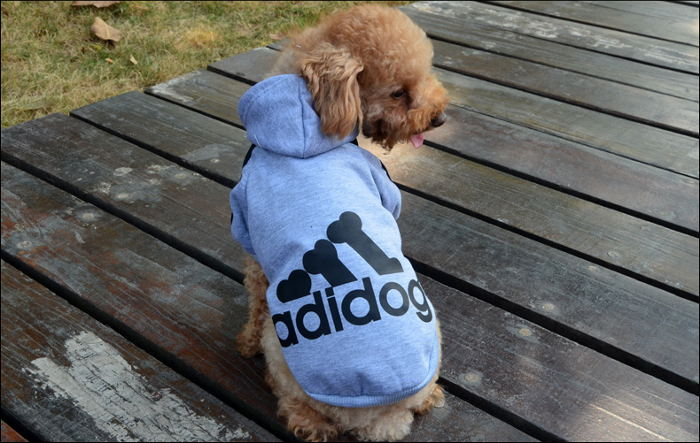 1066692056_1719217545