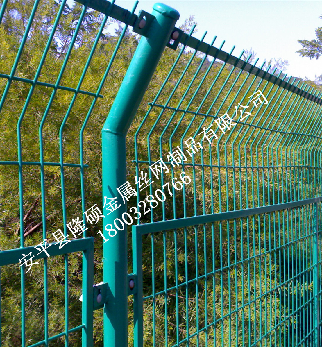 252831527149692_副本