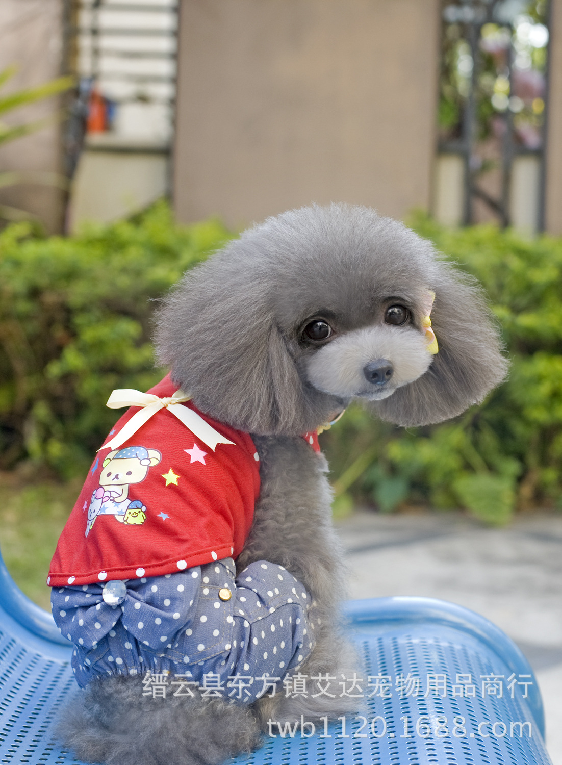 2014新款春夏寵物衣服 睡帽小熊背心小狗服裝 寵物批發工廠,批發,進口,代購