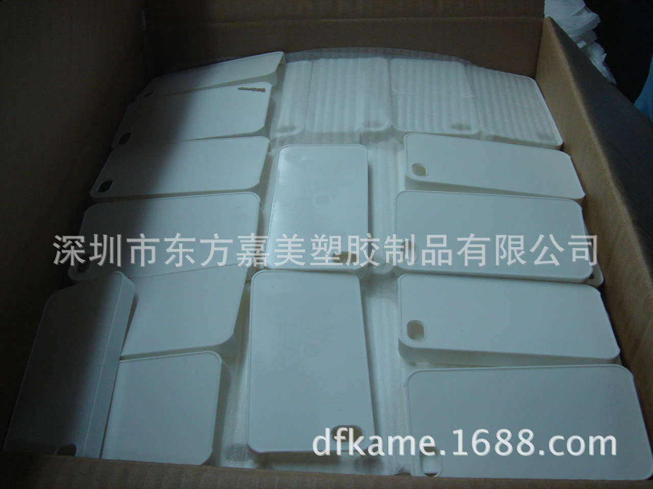 DSC03218