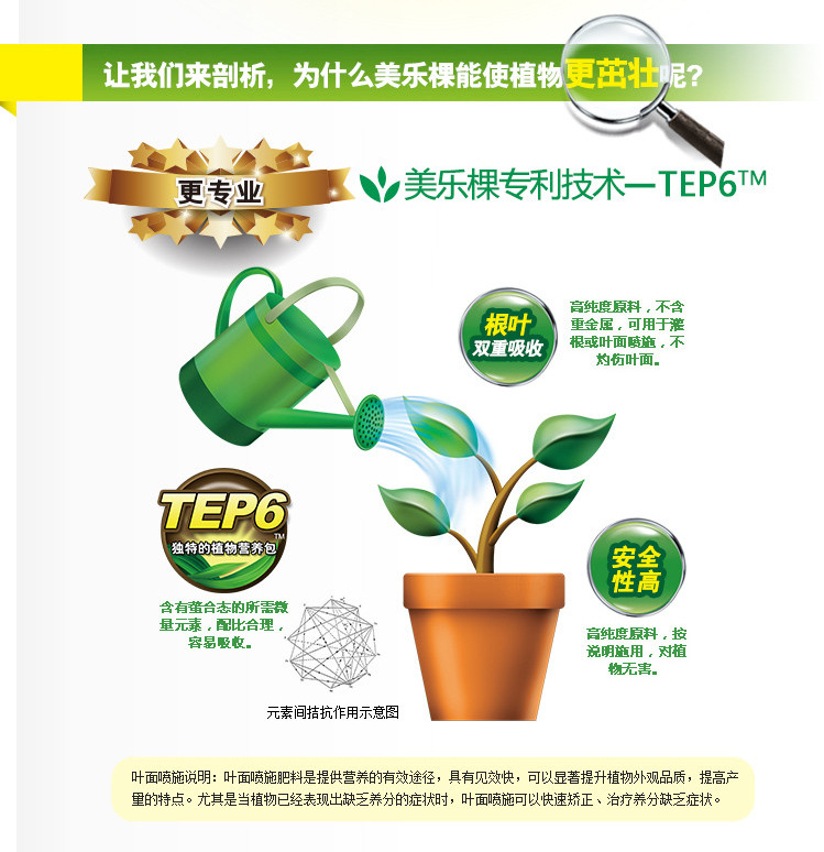 美乐棵 多肉型浓缩液体肥料 多肉专用盆栽植物营养液60ml/瓶