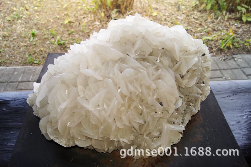 百福晖春-粤晖园