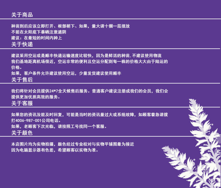 薰衣草购物须知_01