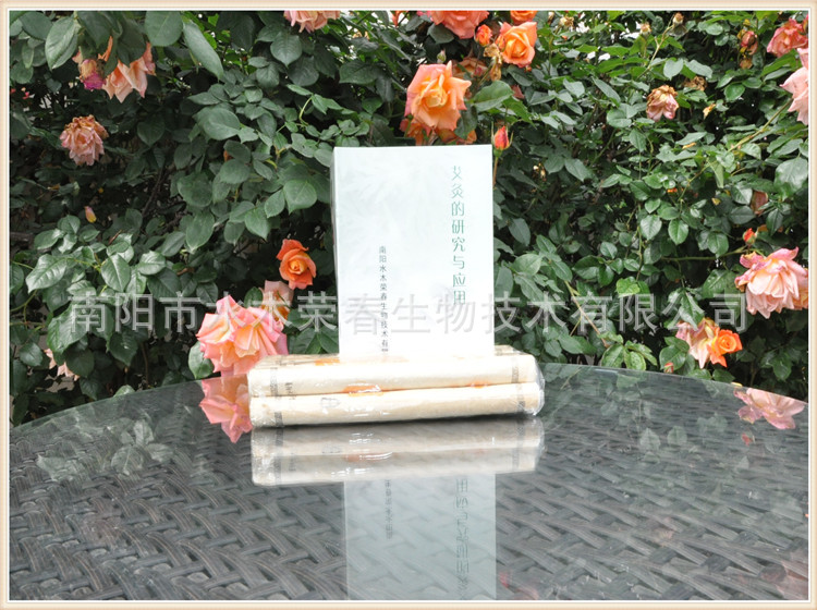 图片、画册-<em>女性养颜祛病艾灸妙方</em> 越艾越美丽