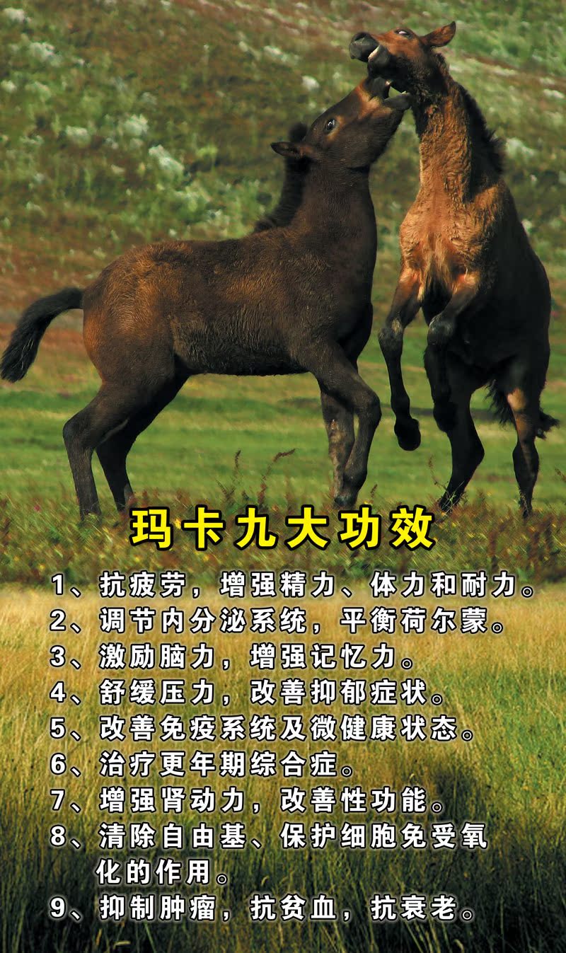 云南特产昭通美宏玛卡玛咖精片男人天然保健品180片正品补肾壮阳