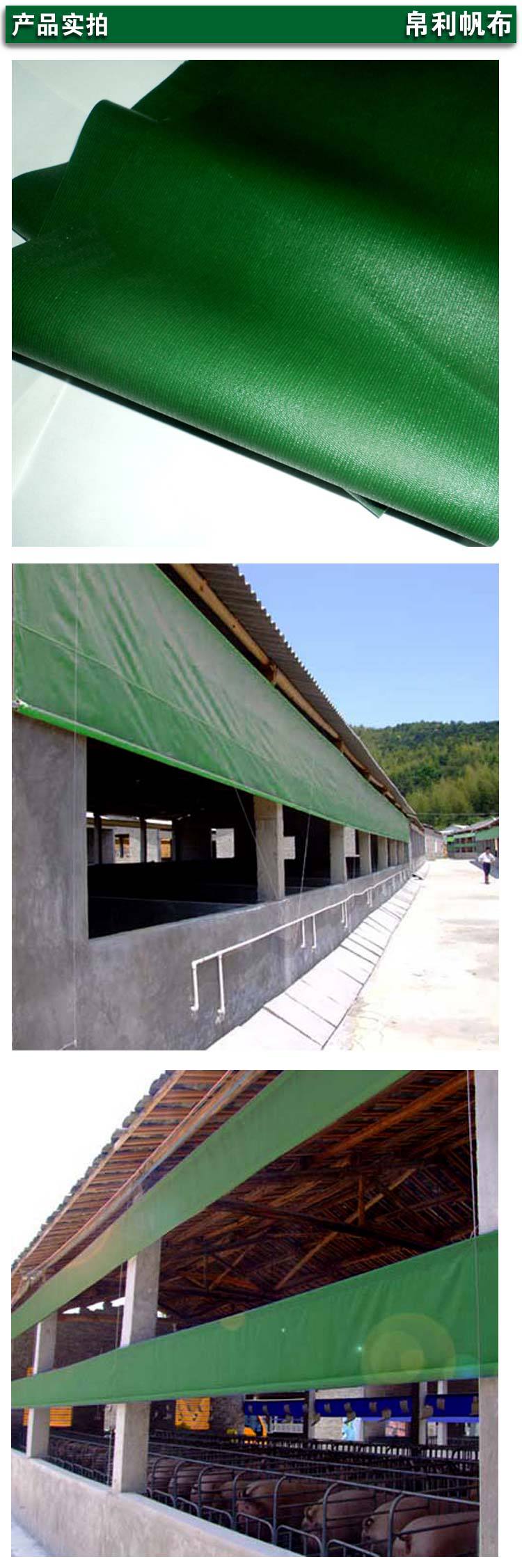 BLG2x2-1产品实拍模板