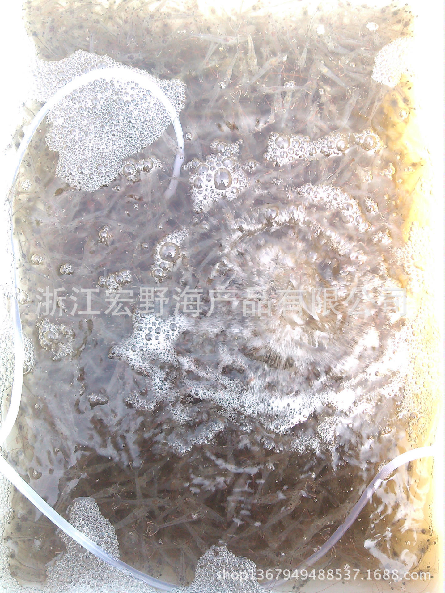 YP20140330092609504