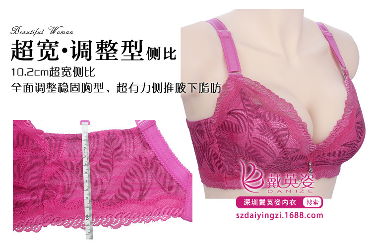<em>文胸</em>-2014秋冬随意1456 B杯 模杯 侧收集中 网