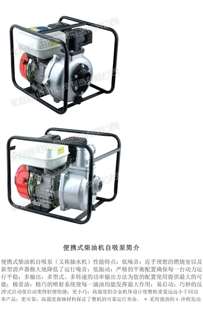 2 便携式柴油机自吸泵 (2)