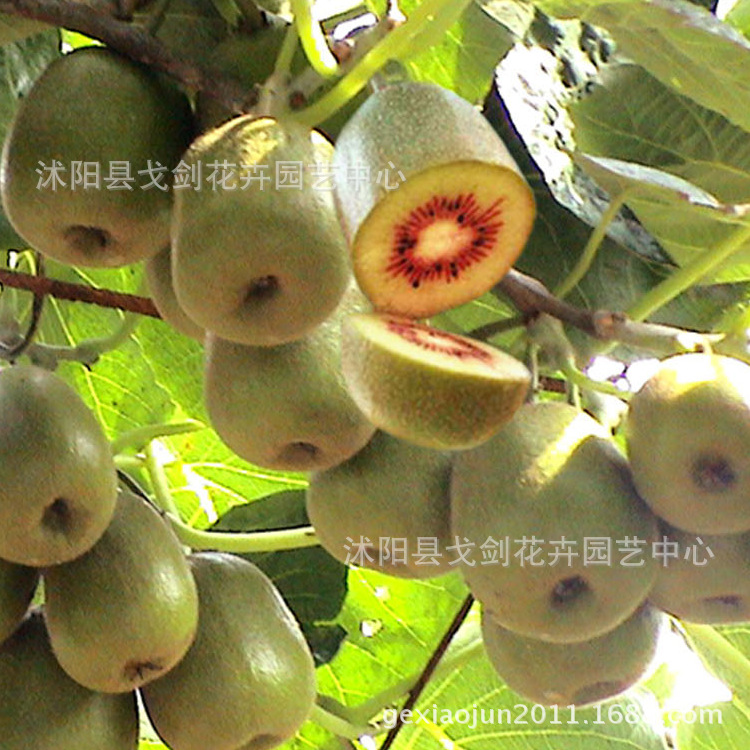 未标?1