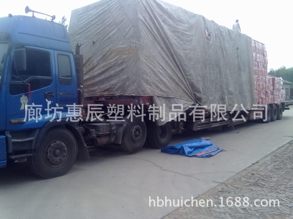 广东省清远是某大型猪场发货