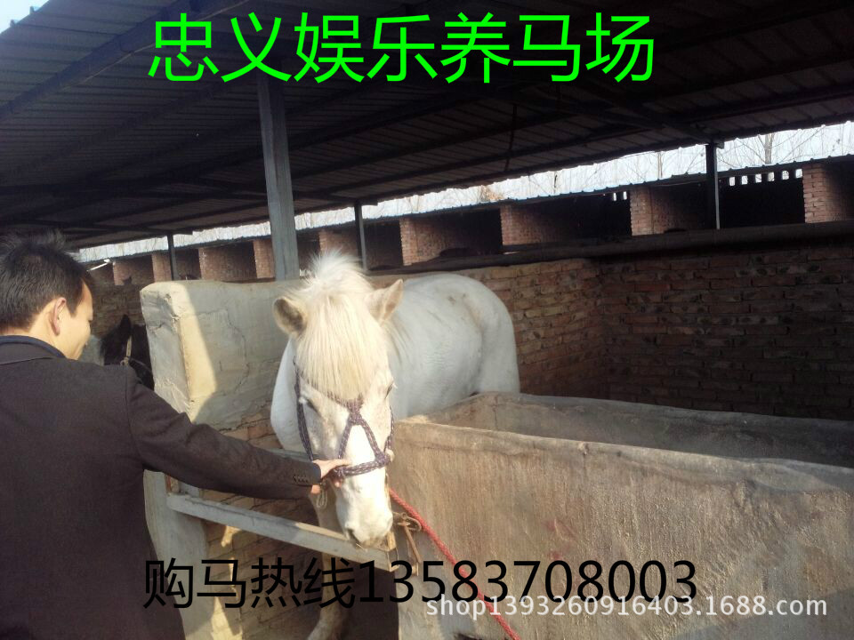 QQ图片20140602155955